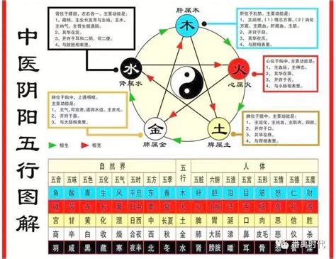 五行相乘|相乘